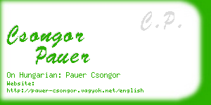 csongor pauer business card